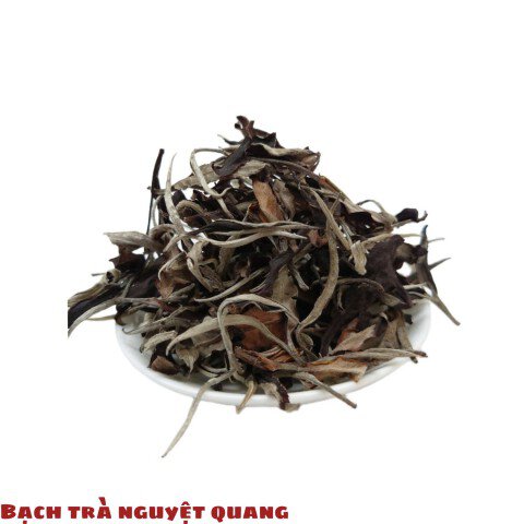 Bạch Trà Nguyệt Quang A - Trà Shan Tuyết Cổ Thụ 1 búp 1 lá Thượng Sơn (Hà Giang)